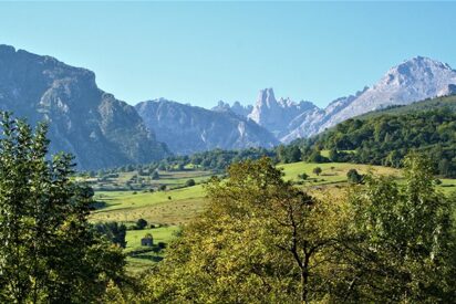 El Naranjo (Principado de Asturias)