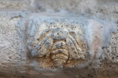 La abeja de piedra en la fachada del Pilar de Zaragoza.