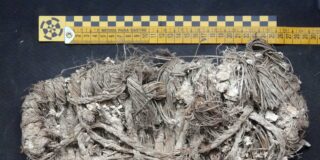 La sandalia medieval encontrada en el nido del buitre