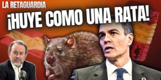 ¡Sánchez huye como una rata de los periodistas, del Rey y del pueblo!