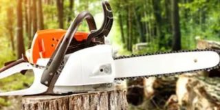 ¿Cómo elegir una motosierra? ✔️